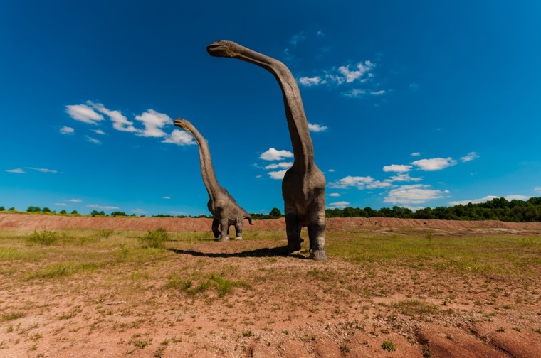 アルゼンチノサウルスの体長 体重などの大きさは 恐竜ネット