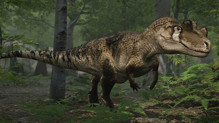 ケラトサウルスはジュラシックパーク3に登場 アロサウルスとの関係や違いについても 恐竜ネット