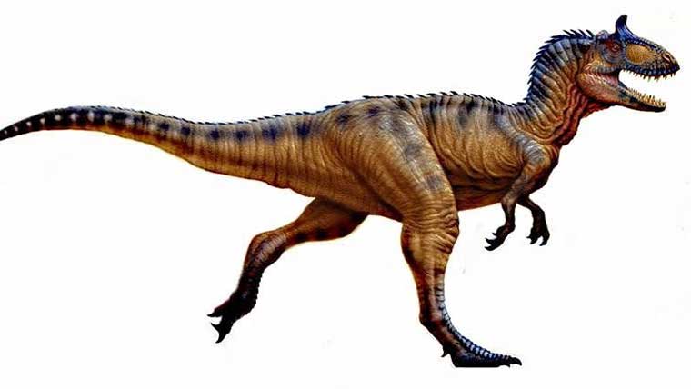 クリオロフォサウルスの体長や体重などの大きさは？学名の意味や特徴 ...