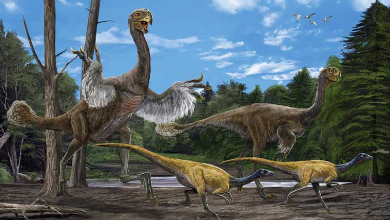 ギガントラプトルの体長や体重などの大きさは 学名の意味や特徴についても解説 恐竜ネット