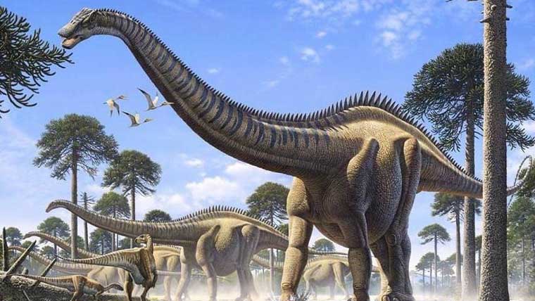 一番大きい最大の恐竜ランキングtop10 巨大な恐竜の大きさを紹介 恐竜ネット