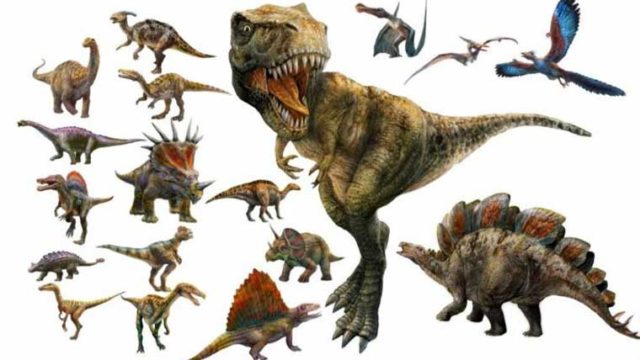 プテラノドンは重すぎて飛べなかった 骨格や大きさについても 恐竜ネット