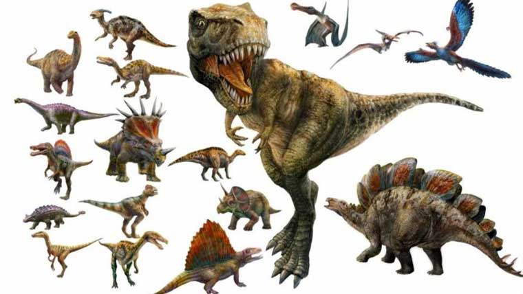 恐竜人気ランキングtop10 子供に人気の恐竜の名前を順位をつけて紹介 恐竜ネット