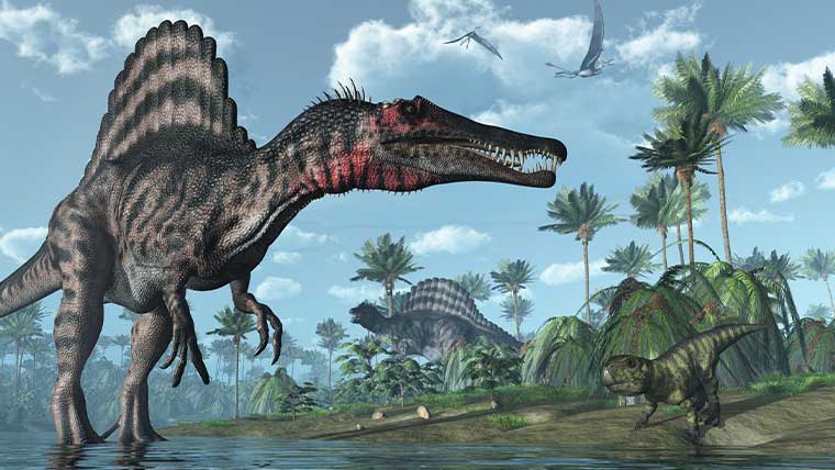 恐竜人気ランキングtop10 子供に人気の恐竜の名前を順位をつけて紹介 恐竜ネット
