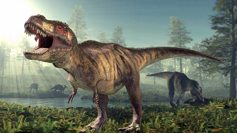 肉食恐竜最強ランキングtop10 一番強い恐竜の順位を紹介 恐竜ネット