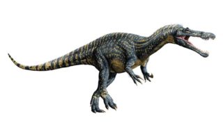 ギガントスピノサウルスの体長や体重などの大きさは 学名や特徴についても解説 恐竜ネット