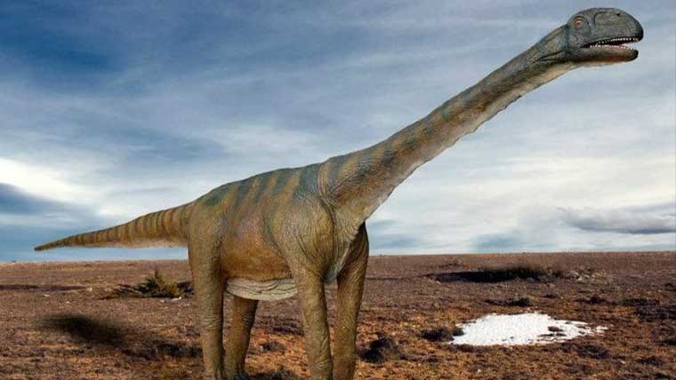 トゥリアサウルスの体長や体重などの大きさは 学名の意味や特徴についても解説 恐竜ネット