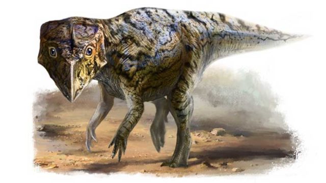 ディロフォサウルスの化石や学名の意味について解説 体長や体重などの大きさは 恐竜ネット