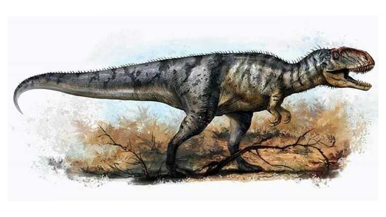 ヤンチュアノサウルスの体長や体重などの大きさは 学名の意味や特徴についても解説 恐竜ネット